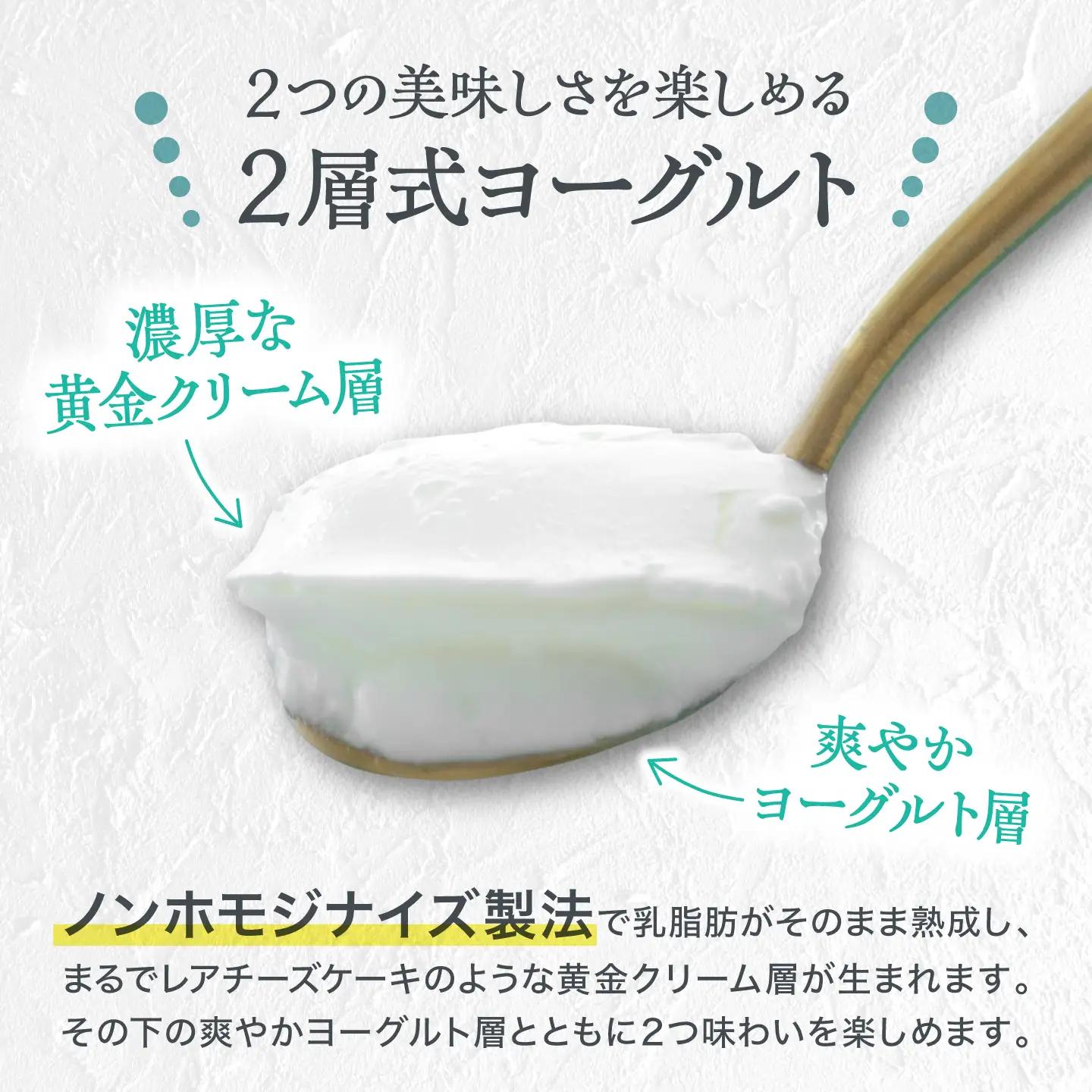 【全9回定期便】オオヤブデイリーファーム くまもと半熟よーぐるちょ 350g×5個ヨーグルト[AYAE021]