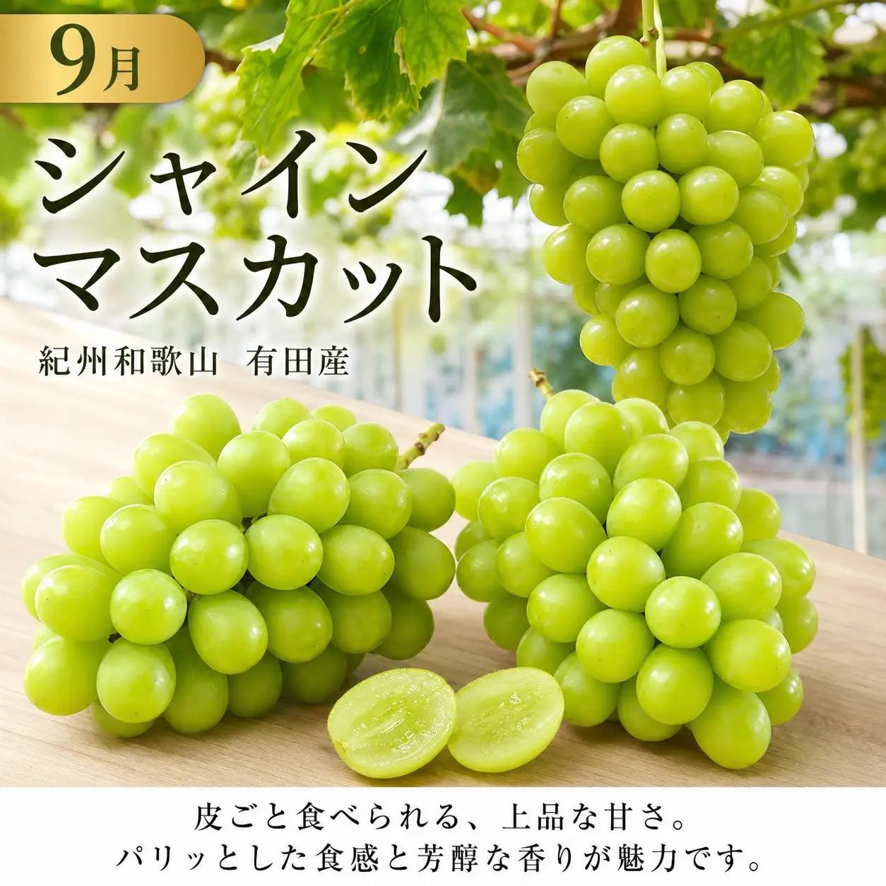 定期便 8・9月発送 紀州有田産旬のフルーツセット（種なし巨峰＆梨セット×計約2kg・シャインマスカット×約2kg）