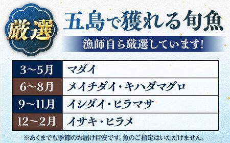 【季節ごとに旬の鮮魚を切り身でお届け】五島産高級鮮魚セット 3~4kg加工済み高級 鮮魚 三枚おろし あら 真空パック おまかせ 旬 刺身 レシピ付き 長崎　　　 五島市マルセイ水産 [PBT001]