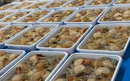 冷凍生剥きほたて 1kg（500g×2） 【 ふるさと納税 人気 おすすめ ランキング ホタテ ほたて ホタテ 剥き 生剥き 帆立 貝柱 貝ひも 北海道産 天然 冷凍 貝類 ギフト 贈答 贈り物 自宅