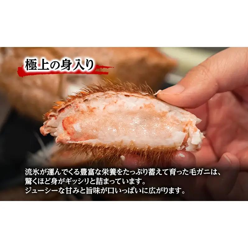 【枝幸毛ガニ】冷凍ボイル毛がに 約780g×1尾 流氷明け 身入り抜群［壽綜合商事］【 カニ 蟹 毛ガニ 毛がに 毛蟹 かにみそ 蟹味噌 ボイル 茹で 冷凍 北海道 オホーツク 枝幸 】
