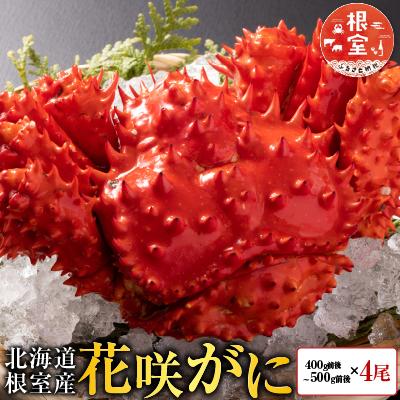 ふるさと納税 根室市 【北海道根室産】花咲かに400g前後〜500g前後×4尾 B-30015