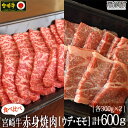 【ふるさと納税】＜宮崎牛赤身焼肉600g(300g×2)＞ ※入金確認後、3か月以内に順次出荷します。ウデ モモ 牛肉 特産品 牛乃屋 キャンプ 宮崎県 高鍋町 【冷凍】