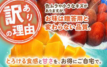 【優良賞受賞】沖縄県産 完熟マンゴー 優品 1kg (2〜3玉) マンゴー 沖縄 果物 フルーツ ギフト 沖縄市 / MAIFARM[BCAN003]