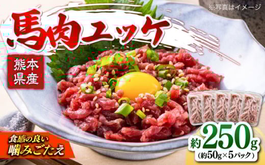 馬肉ユッケ　計約250g　約50g×5パック 【株式会社 肉の山本】熊本県 熊本 くまもと 馬刺し 馬肉 ユッケ ゆっけ 馬 国内肥育 小分け おつまみ 冷凍 配送無料 ジビエ 低カロリー ヘルシー 生肉 [AYBK003]