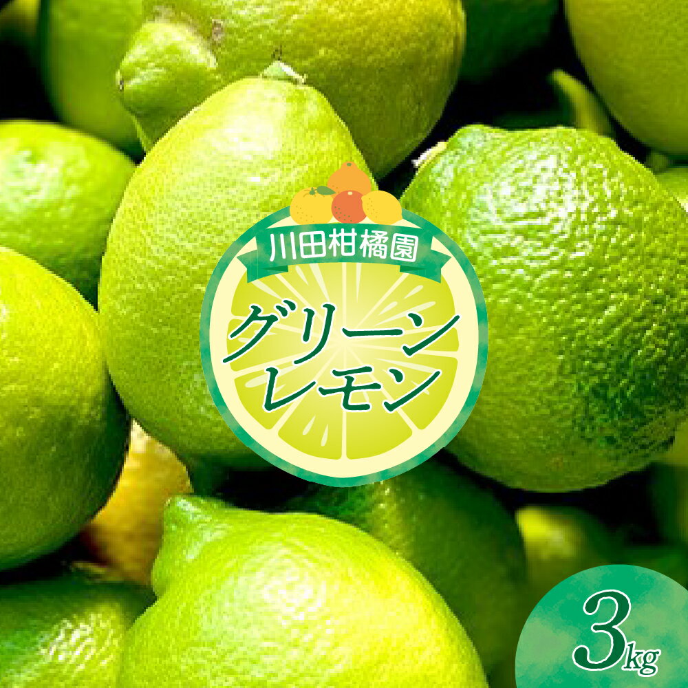 【ふるさと納税】川田柑橘園 広島県産 「 グリーンレモン 」 3kg 【 2026年 11月上旬～発送】 レモン 檸檬 lemon フルーツ 果物 柑橘 国産 れもん レモネード レモンサワー 瀬戸内レモン 国産 産地直送 スパイシーな酸味 果汁 瀬戸内海 お取り寄せ 広島県 呉市