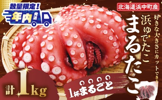 【令和7年12月発送分】浜ゆでたこ「まるたこ」たこ 一匹 一杯 刺身 海産物 魚介類 海鮮 北海道 _H0023-035-R712