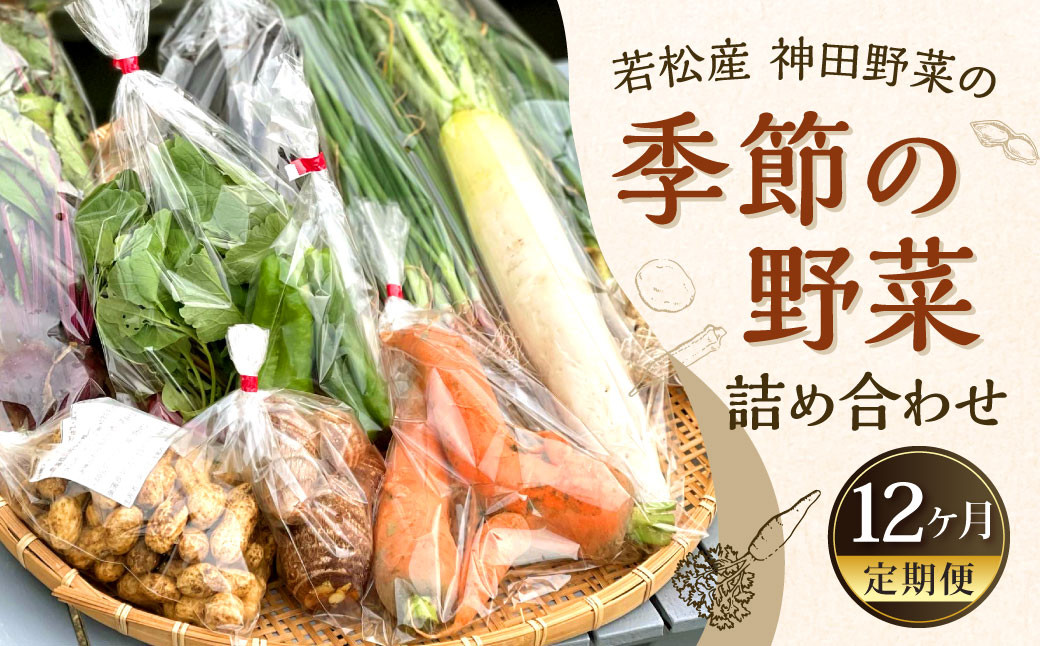 
            【12回定期便】 若松産 神田野菜 季節の野菜 詰め合わせ 【2024年8月上旬から2026年6月下旬発送予定】 野菜 やさい 国産
          
