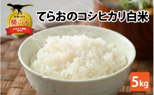 
                  【先行予約】【令和8年産 新米】てらおのコシヒカリ白米 5kg×1袋 / 米 白米 精米 コシヒカリ ブランド米 おすすめ 福井県産 勝山市 ※2026年9月20日以降順次発送 [A-041005]
                