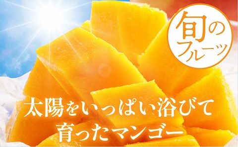 《2026年発送先行予約》【数量・期間限定】完熟マンゴー4L×2玉定期便　全4回_M153-T034