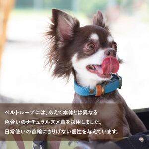 首輪 本革 イタリアンレザー イエロー 小型犬用 (26-32センチ)ペット用品【dc-01ss】【1663092】