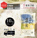 【ふるさと納税】 《先行予約》 ＜定期便 6回＞ 米 10kg 《 新潟県産 コシヒカリ みかわ稲穂の舞 》 令和6年産 5kg × 2袋 阿賀 三川 | 毎月 こしひかり 白米 精米 送料無料 お取り寄せ お米 金賞受賞 ※2024年10月中旬頃より順次発送