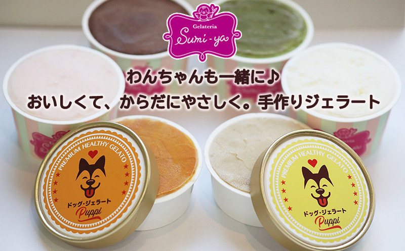 
            わんちゃんと一緒に！ドッグジェラート&飼い主様用ジェラート 6個
          