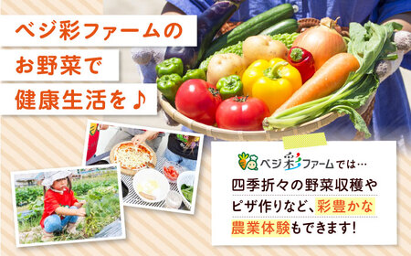 【全3回定期便】 米ぬかで育てた！旬のお野菜セット 詰合せ 詰め合わせ 新鮮 産地直送 おまかせ やさい 野菜セット 大阪府高槻市/ベジ彩ファーム[AOEJ005]