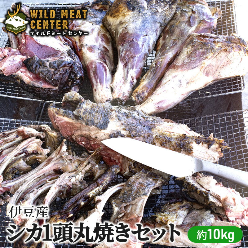 【ふるさと納税】【伊豆産シカ肉】シカ1頭丸焼きセット（約10kg）鹿肉 シカ肉 ジビエ 高タンパク 高たんぱく 低カロリー 低脂肪 肉 お肉 山の幸