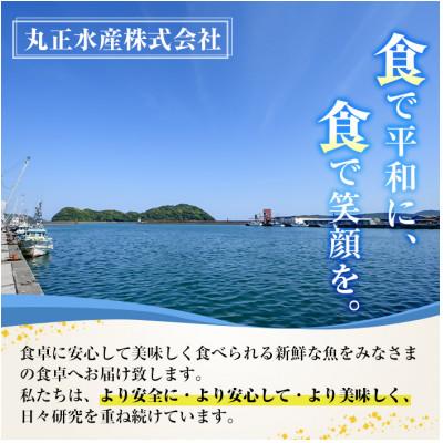 ふるさと納税 門川町 骨取りさば切身と鮭カットのセット(合計約3.4kg) |  | 01