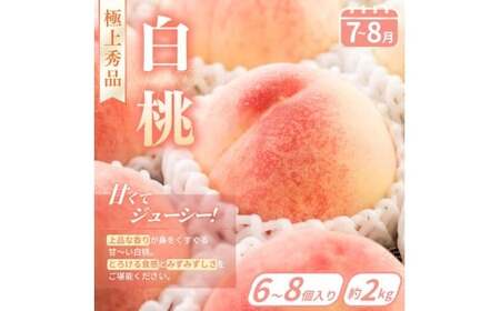 【フルーツ定期便・全4回】品質に自信あり！くしがきの里から直送　桃・シャインマスカット・はれひめ・まりひめを季節ごとにお届け♪ / 定期便 桃 もも みかん 柑橘 シャインマスカット マスカット いち