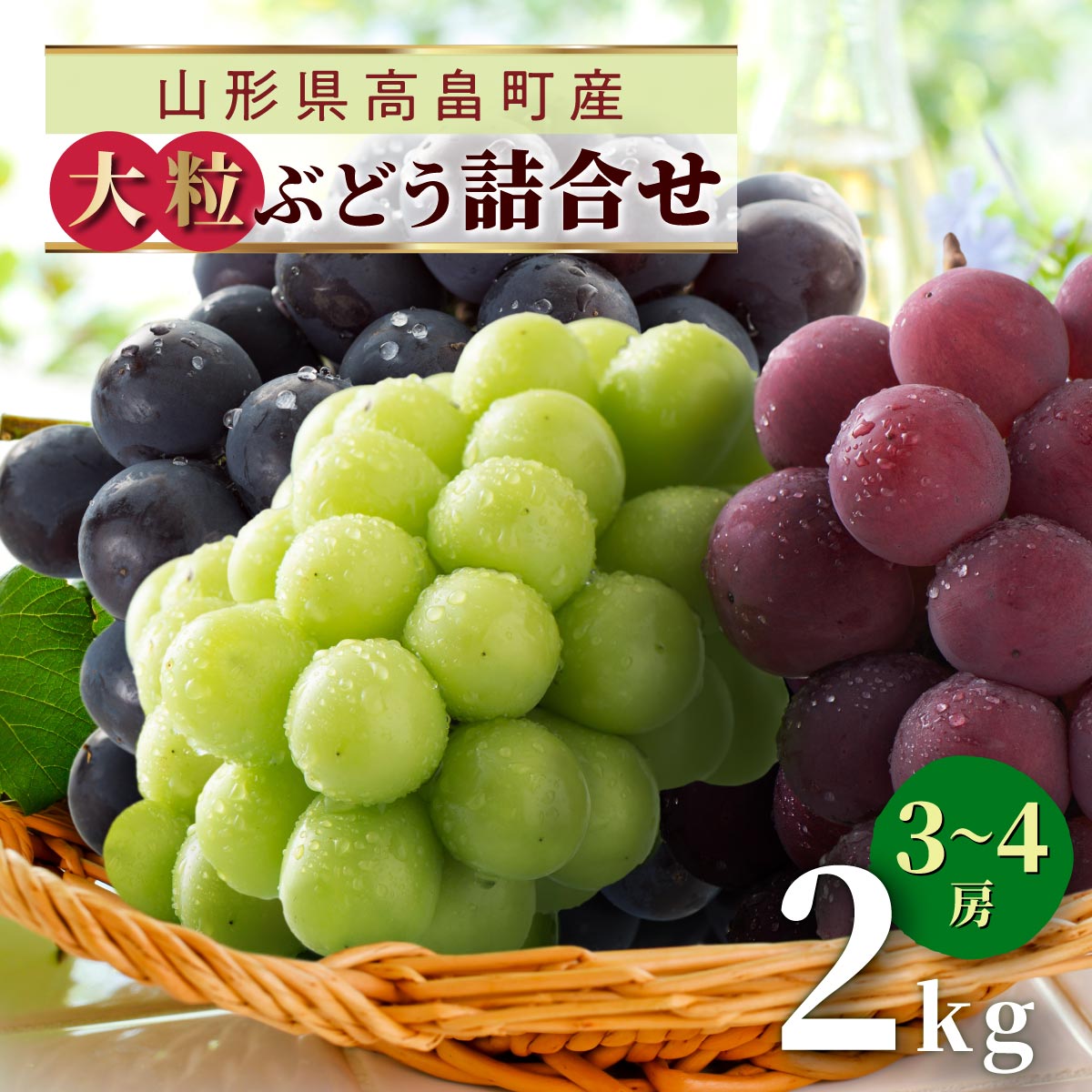 【ふるさと納税】【期間限定発送】 ぶどう 2〜3色 約 2kg 詰め合わせ セット [tk06ays870028 山形県 高畠町 JA山形おきたま] シャインマスカット 葡萄 セット ブドウ 巨峰 ピオーネ クイーンニーニャ ゴルビー 高尾 蔵王おとめ 大粒 農家直送 朝採れ
