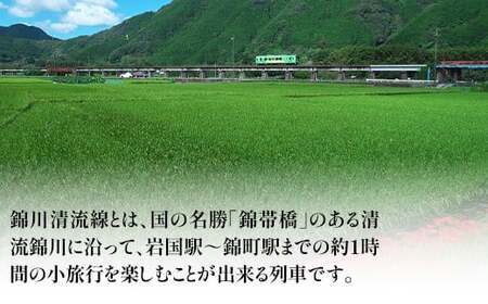 【錦川鉄道】錦川清流線 1日フリーきっぷ 2名 川西駅～錦町駅間
