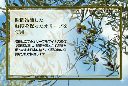 オリーブオイル エキストラバージン 3本セット 【オリーブオイル】