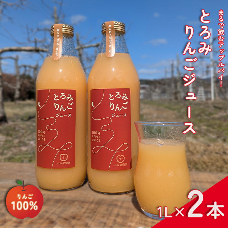 【ふるさと納税】とろみりんごジュース 1L×2本 100% アップル ジュース 農家直送 小坂果樹園 花巻市
