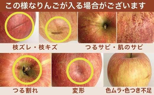 ［訳あり］ 旬のりんご 約3kg 6～12玉 ［小布施屋］ 傷 規格外 不揃い 訳アリ 家庭用 りんご 林檎 リンゴ 果物 フルーツ 長野県産 信州産 特産 産地直送 産直 数量限定 先行予約 令和8