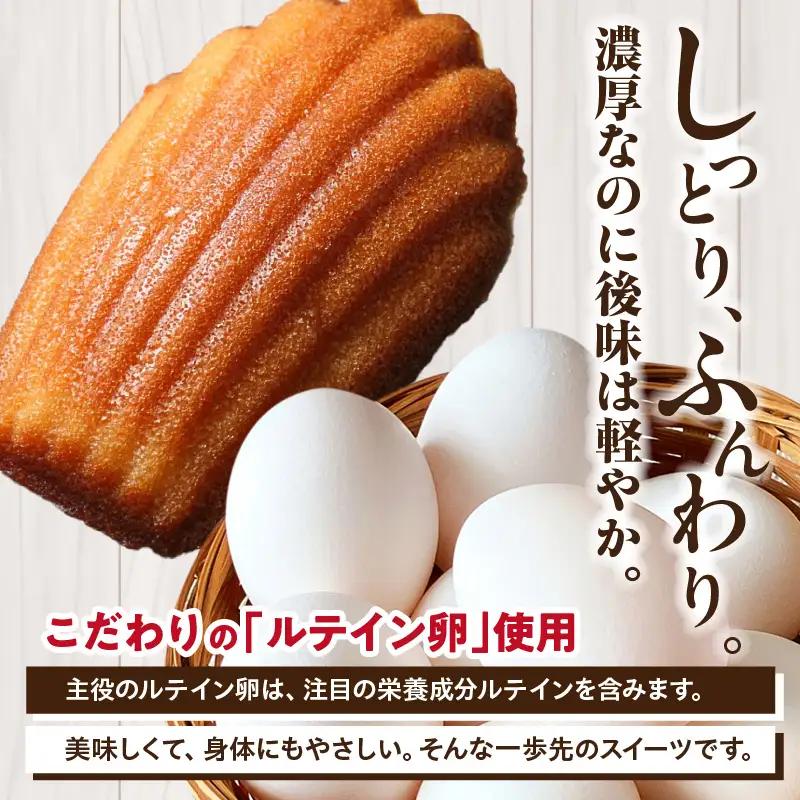 【お中元 内熨斗対応可能】マドレーヌ 14個入