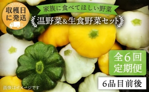 【 全6回 定期便 】 朝採れ 温野菜＆生食野菜セット （ 6品 前後 ）  《糸島》【オーガニックナガミツファーム】 	[AGE020]