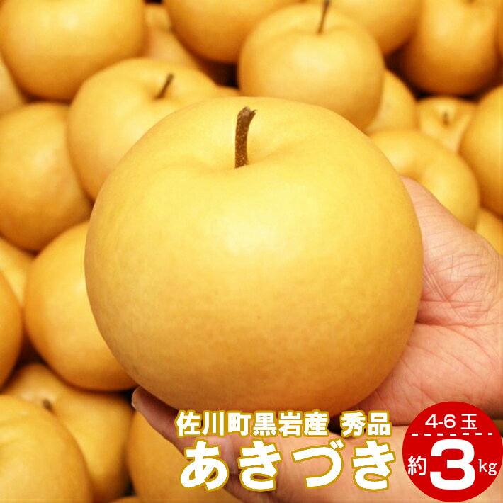 【ふるさと納税】＜2025年9月中旬頃より発送予定＞＜あきづき（約3kg／4～7玉）＞梨 贈答 ギフト 秀品 常温 黒岩 秋月フルーツ 旬