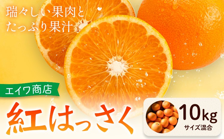 
                  紅はっさく サイズ混合 10kg エイワ商店《2月中旬-3月中旬頃出荷》和歌山県 日高川町 送料無料 八朔 柑橘類 フルーツ 果物 柑橘 ご家庭用
                