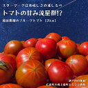 【ふるさと納税】3~6月発送 越田農園 フルーツトマト 約2kg 広島県 大崎上島町 瀬戸内 離島 国産 甘い 高糖度 ギフト 送料無料 産地直送