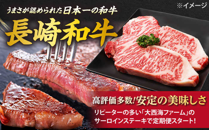 【3回定期便】お肉と海の幸〜見つけた！西海の宝物定期便〜 [CZZ020]