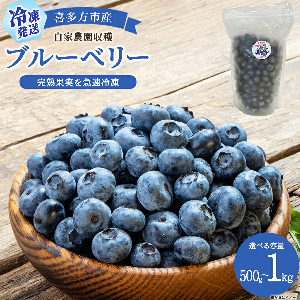 【ふるさと納税】【冷凍】喜多方市産ブルーベリー【選べる内容量 500～1kg】 福島県 喜多方市産 自家農園 収穫 急速冷凍 フレッシュ 【07208-1041-1043】