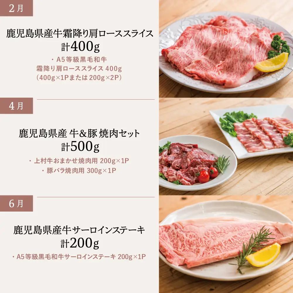 【定期便全6回】情熱牧場 鹿児島県産お肉の定期便 トライアルコース お肉 ステーキ すき焼き しゃぶしゃぶ 焼肉 BBQ A5等級 黒毛和牛 牛肉 豚肉 スライス 小分け 定期便 冷凍 カミチク 南さ