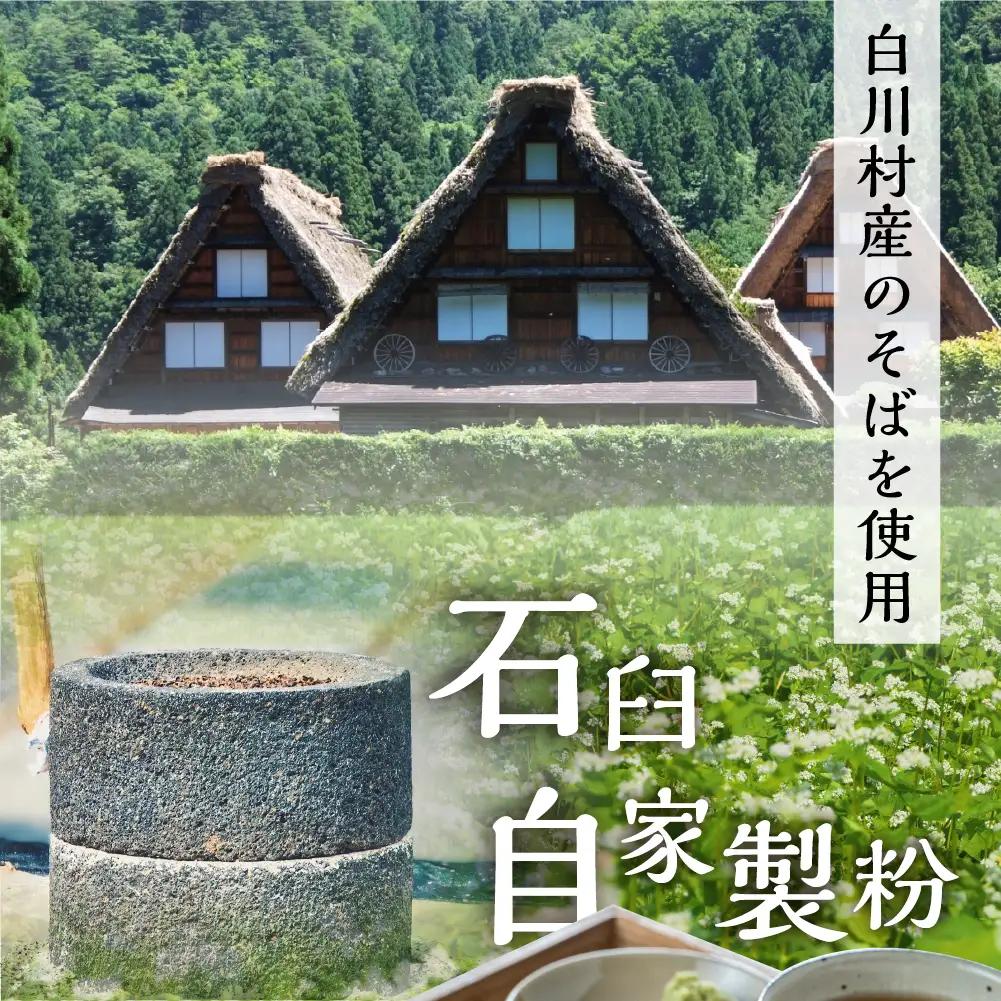 世界遺産白川郷そば 2～3人前 300g 1袋 蕎麦 ソバ そば 半生そば 年越しそば 年末 ざるそば 麺 常温保存 岐阜県 白川村
