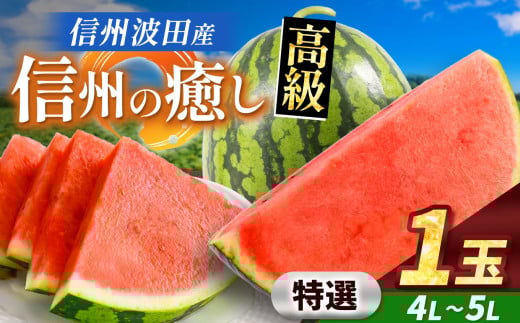 【先行予約】信州波田産 贈答用 高級スイカ！ 信州の癒し 【特選】 4L～5Lサイズ 1玉｜ふるさと納税 長野県 信州 松本 果物 フルーツ すいか スイカ 西瓜 新鮮 大きい 特別 贈答 季節限定 甘い くだもの ふるーつ