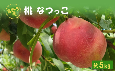 2026年発送 長野市産桃「なつっこ」約5kg 