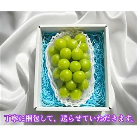シャインマスカット 1房 800g 小さな農家のこだわりシャイン【配送不可地域：離島】【1699610】