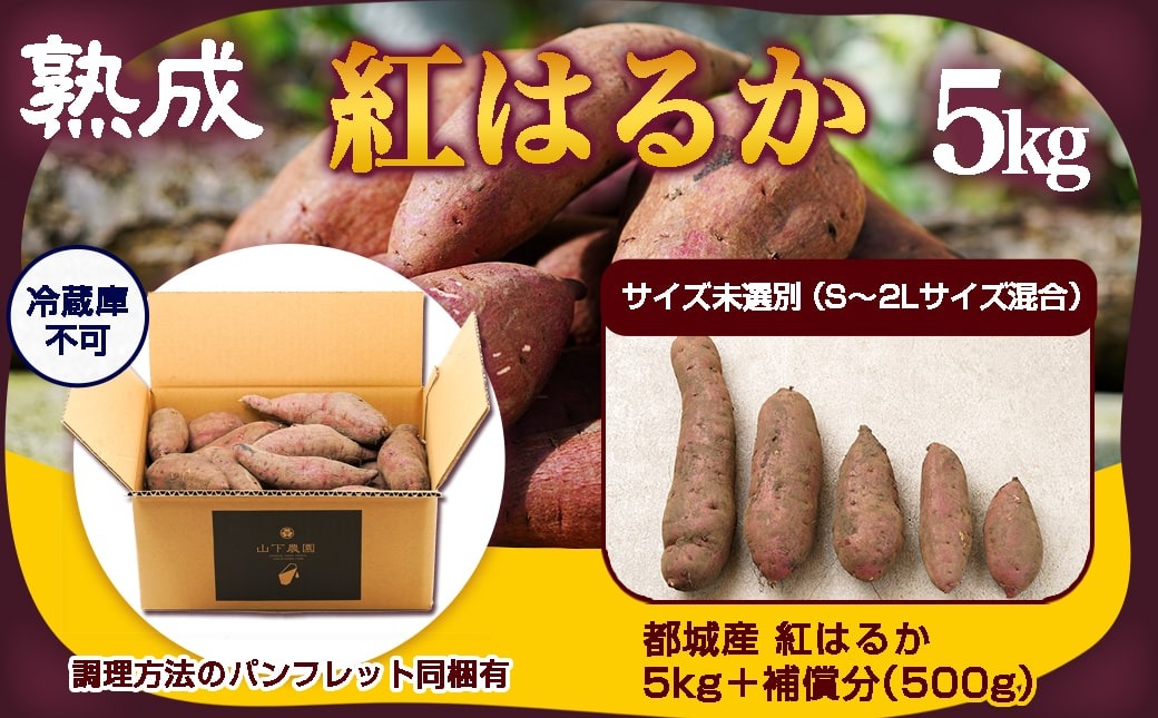 先行受付!【10月お届け】【農家直送】山下農園　熟成紅はるか 5kg_LD-I704-10