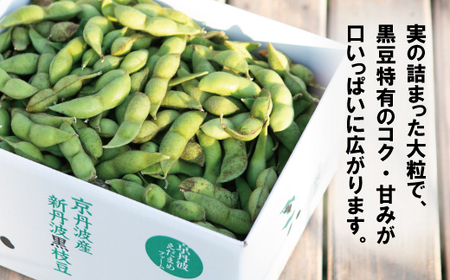 新丹波黒 枝豆 千年枝豆 2kg さや 京都 丹波  京丹波町産 期間限定 生産者限定 国産 こだわり 厳選 黒豆 枝豆 おつまみ きな粉 黒豆きな粉付き [015HY001L]
