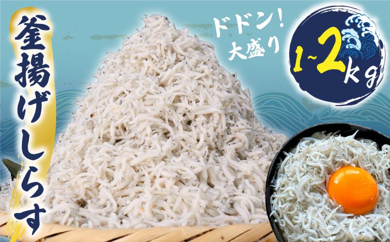 
            釜揚げしらす 約1kg・2kg (約250gx4・8P小分け包装) ふっくら しらす 九十九里産 シラス 釜揚げ 天日干し 魚介類 無添加 魚介 海の幸 海 魚 贈答 ギフト プレゼント 贈答 記念日 お祝い 送料無料 千葉県 旭 飯岡ヤマイチ水産-大納屋- 千葉県 旭市
          