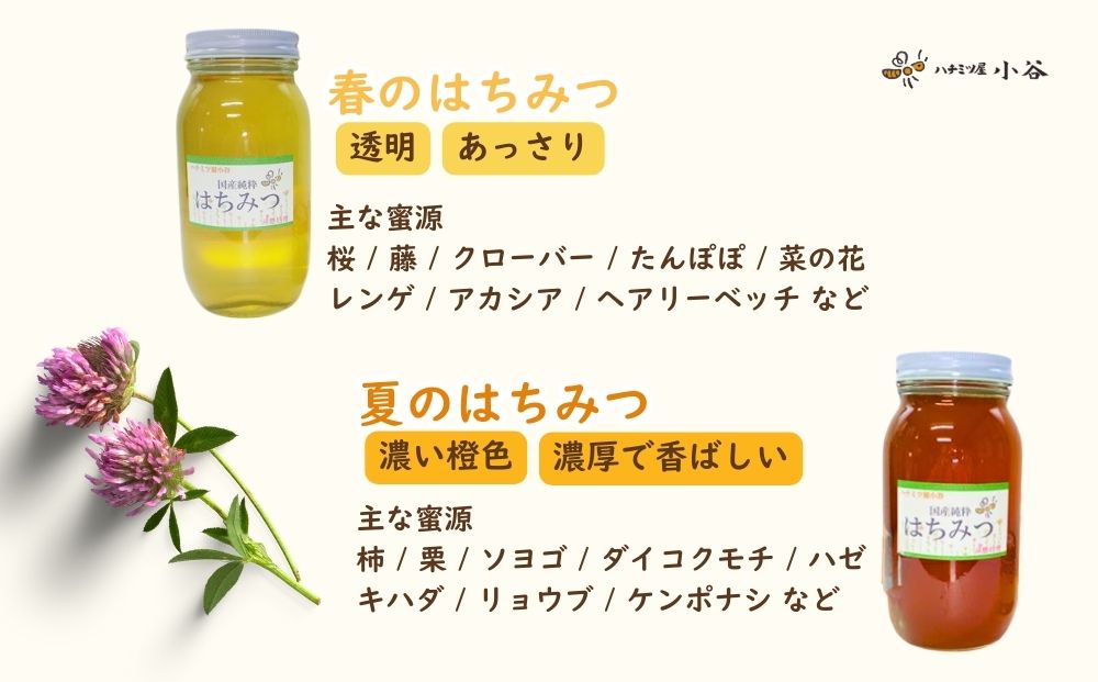 はちみつ 夏セット／ 国産 純粋 蜂蜜 ハチミツ ハニー 非加熱 無精製 贈答用 贈り物 ハチミツ屋小谷 奈良県 宇陀市 ふるさと納税