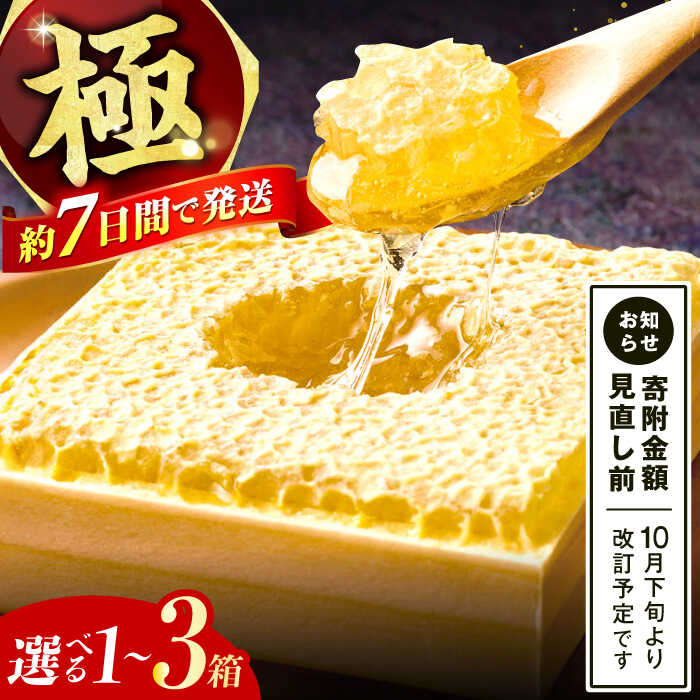 【ふるさと納税】【選べる容量】極巣みつ 310g～930g はちみつ 蜂蜜 ハチミツ ハニー スピード発送 広川町 / 株式会社九州蜂の子本舗[AFAI007]