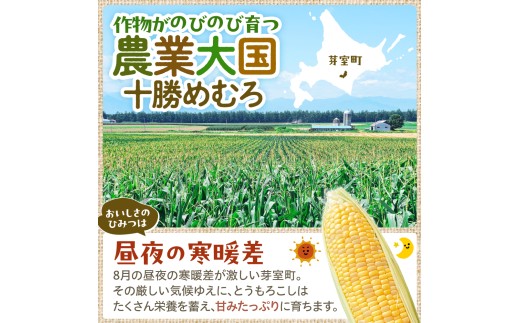 【先行受付】2027年産 北海道十勝芽室町ファーム・ミリオンの極甘スイートコーン 2色セット（イエロー・ホワイト）5kg　me016-018-27b／とうもろこし とうきび コーン 野菜 国産 産地直