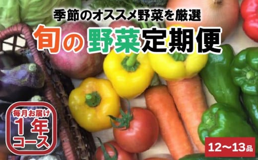 定期便 1年間 12回 野菜 詰め合わせ 産地直送 セット  (12~13品程度 ) （ きゅうり なす パプリカ ピーマン れんこん ブロッコリー にんじん 人参 トマト 玉ねぎ タマネギ 野菜 ベジタブル 旬  あわ地区 旬の野菜 やさい キット 季節野菜 国産 人気 12ヶ月 毎月 お届け 頒布会  高知 高知県産 高知県 定期便 須崎市 須崎 ） AWA9000_x