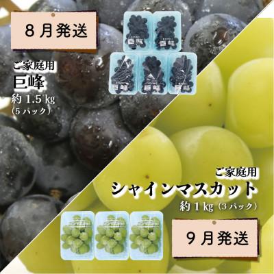 ふるさと納税 時津町 【発送月固定定期便】時津の果物定期便 みかん ぶどう シャインマスカットなど全4回 |  | 02