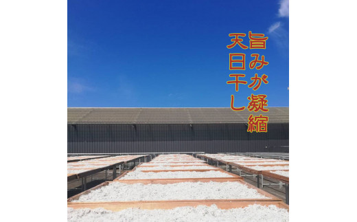 特選天日干しちりめん　木箱入り800g【冷蔵】 無添加 無着色 しらす シラス ちりめん 冷蔵【mar110】_イメージ3