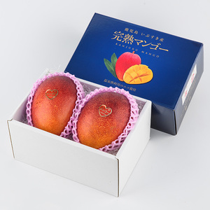 【2026年発送】完熟 指宿産 マンゴー 約800g 前後 2～3個入 中園久太郎商店 016-1758 マンゴー フルーツ 果物