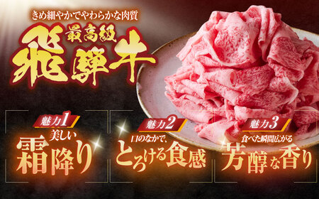 【6回定期便】 ※冷蔵配送/地域限定※ 飛騨牛 切落し (ロースまたは肩ロース) 600g 瑞浪市 / きなぁた瑞浪&nbsp;和牛 国産 岐阜県産[AZCI078]