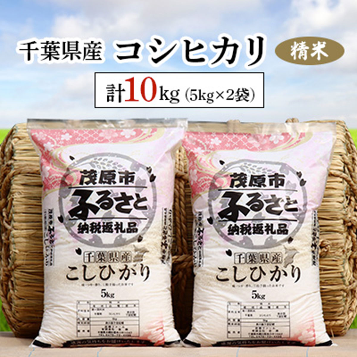 【ふるさと納税】令和6年産 千葉県産コシヒカリ 精米 10kg(5kg×2袋) ふるさと納税 コシヒカリ 米 精米 こめ 千葉県 茂原市 MBAD001